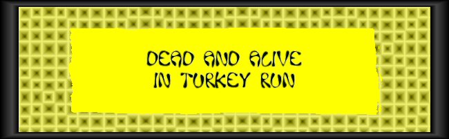 Dead and Alive in Turkey Run   